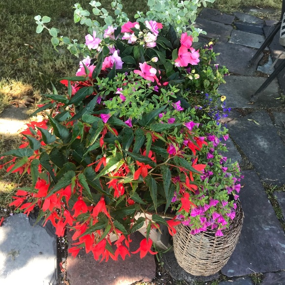 Meet your Posher, Kerry - Picture 14 of 15